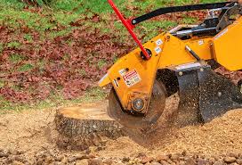 Mulching Services in Oakley, CA